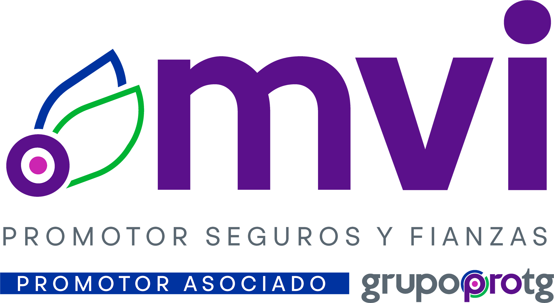 Logo MVI